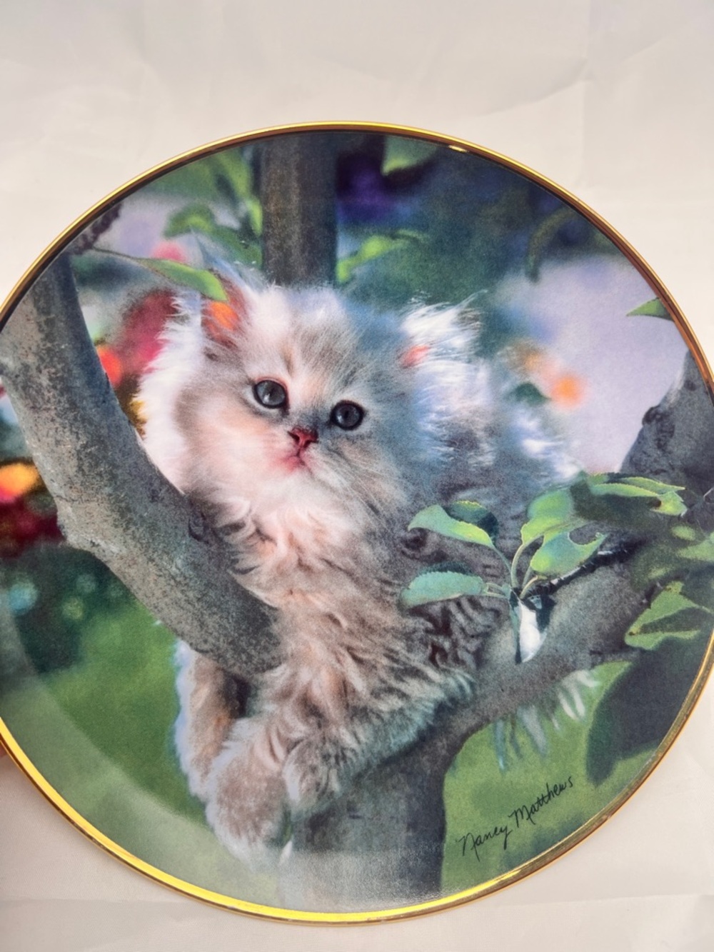 Vintage “Out on a Limb” Franklin Mint Decorative Plate by Nancy Matthews
